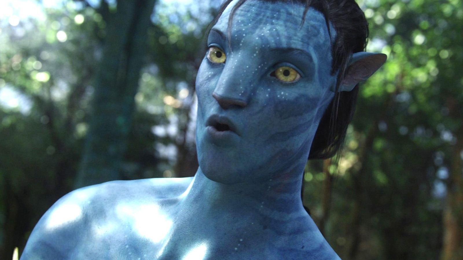Hollywood Thought James Cameron's Avatar Would Flop While It Was In Theaters