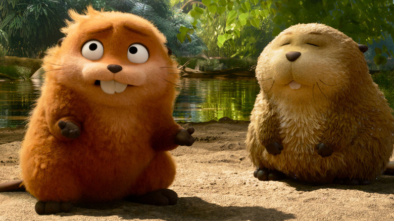 Mabel and Loaf in nature in Hoppers