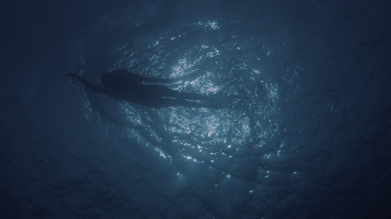 Jaws