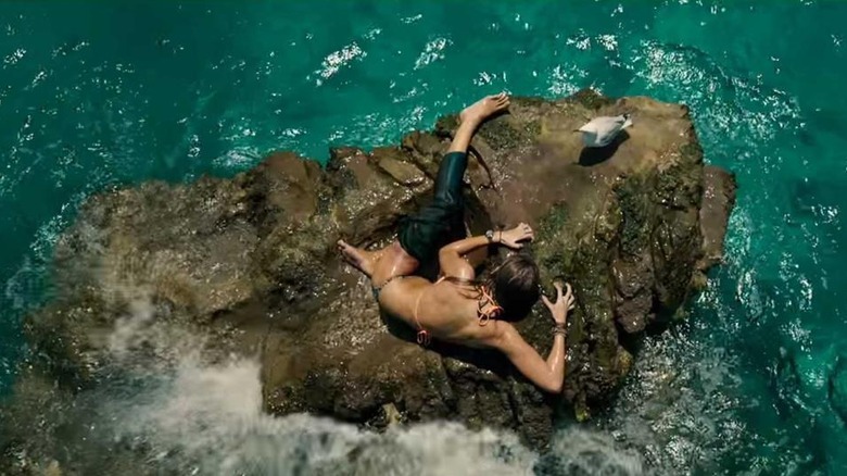 Blake Lively and Steven Seagull in The Shallows