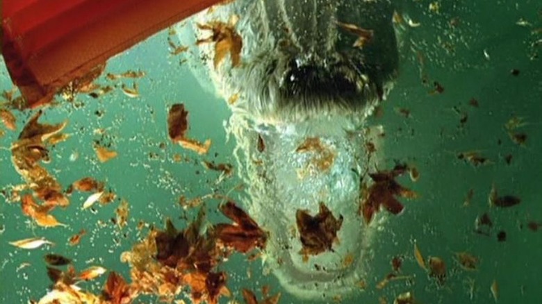 The alligator in Alligator