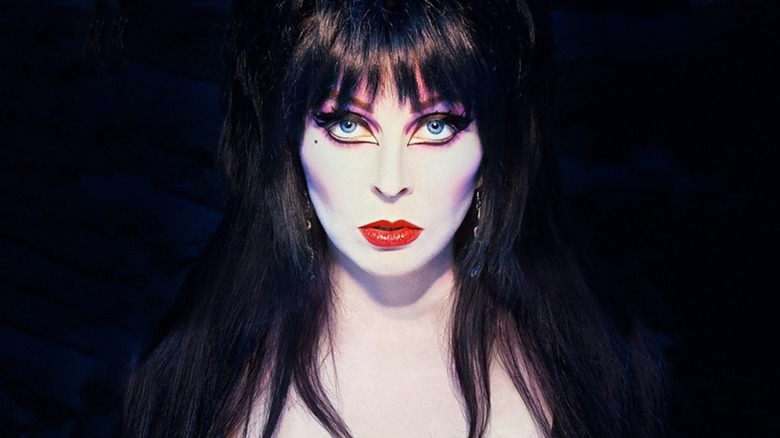 Elvira, Mistress of the Dark book cover photo by Mary Ann Halpin