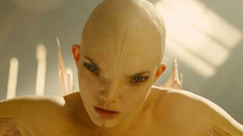 Splice still