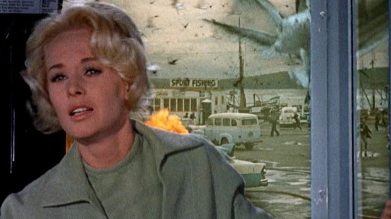 birds tippi hedren