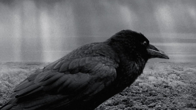 The Painted Bird