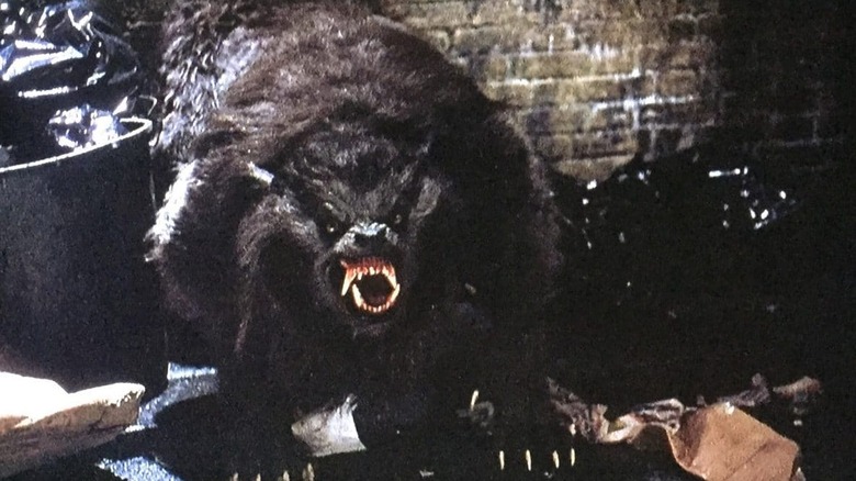Actor David Naughton mid-werewolf transformation.