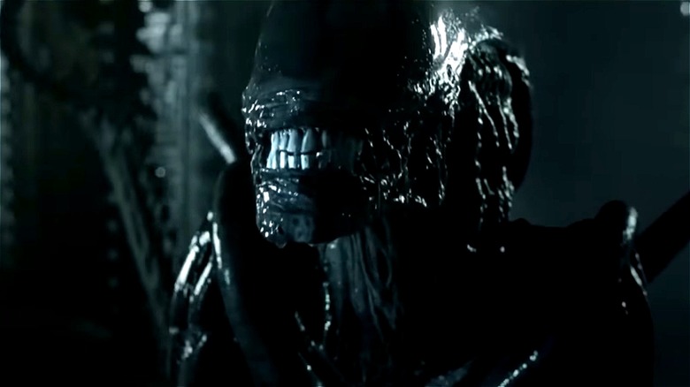 Xenomorph baring its fangs in Alien vs. Predator