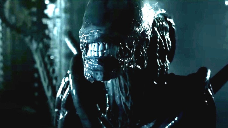 Xenomorph baring its fangs in Alien vs. Predator