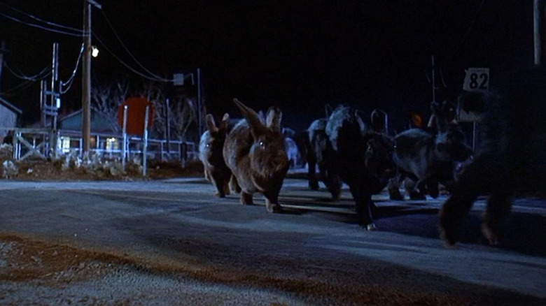 Giant rabbits run down street