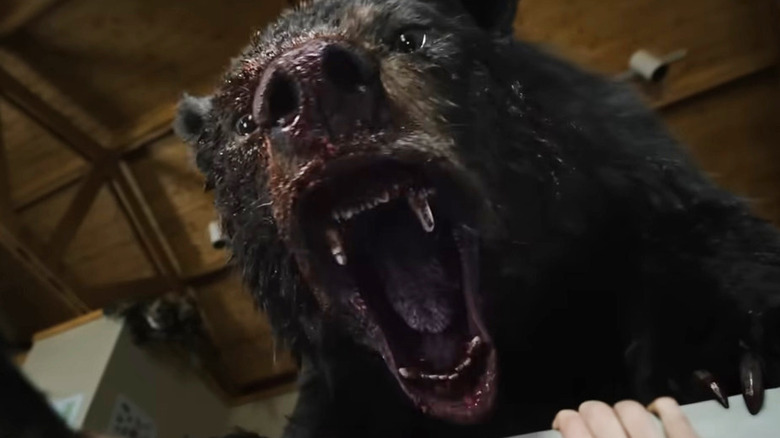 Cocaine Bear bloody in cabin 