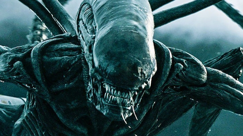 Close-up of a xenomorph in Alien: Covenant 
