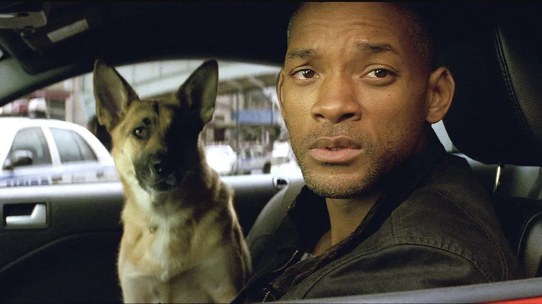 Will Smith sitting in car with german shepherd in I Am Legend