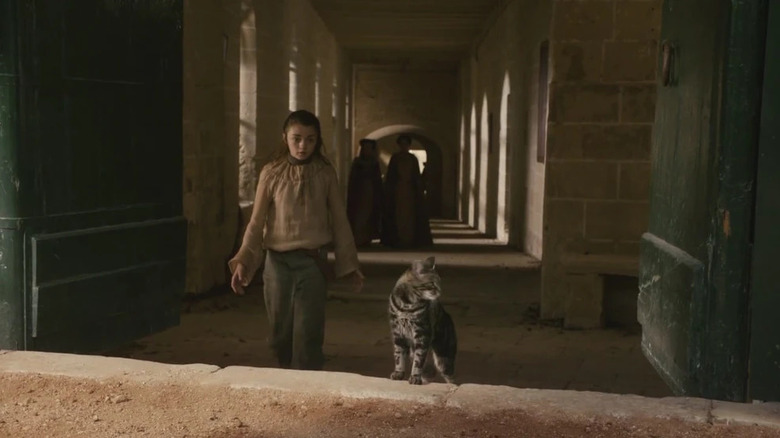 Arya chasing a cat around the Red Keep in Game of Thrones