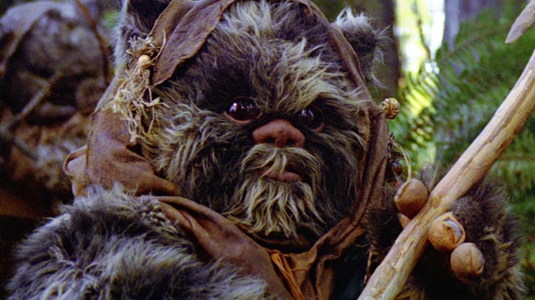 Return of the Jedi Ewok