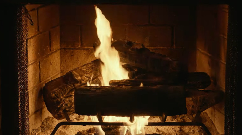 A burning fireplace in Adult Swim Yule Log