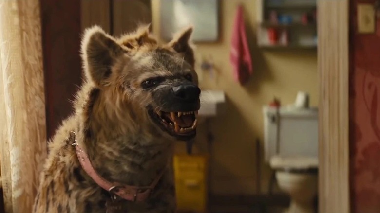 Bruce in Birds of Prey