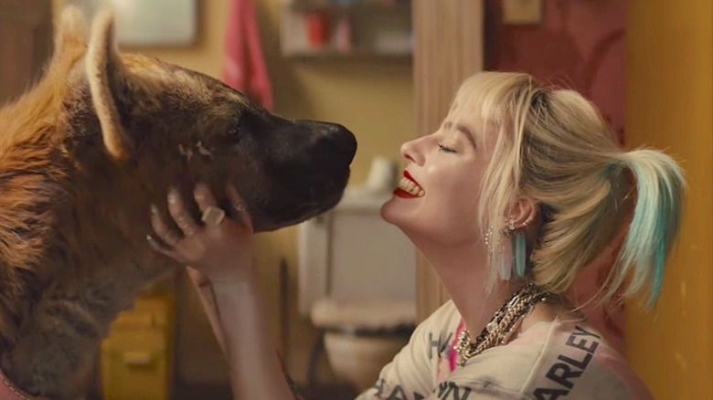 Harley Quinn and Bruce in Birds of Prey