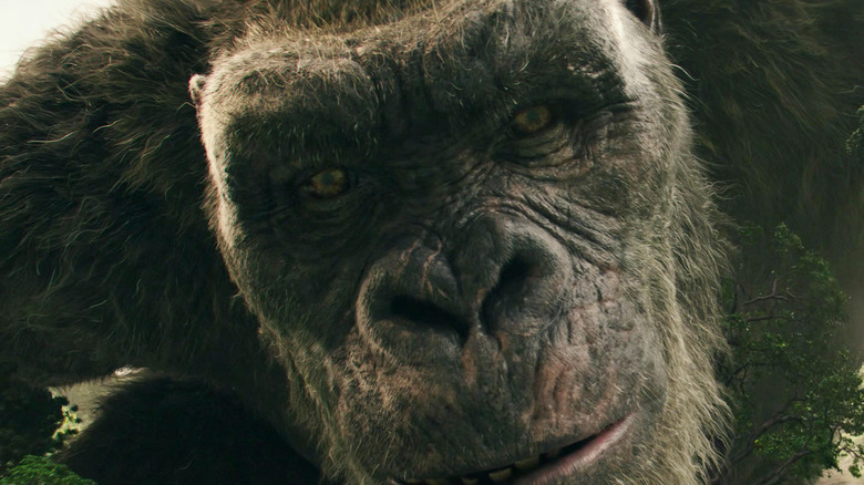 Kong in Godzilla vs. Kong