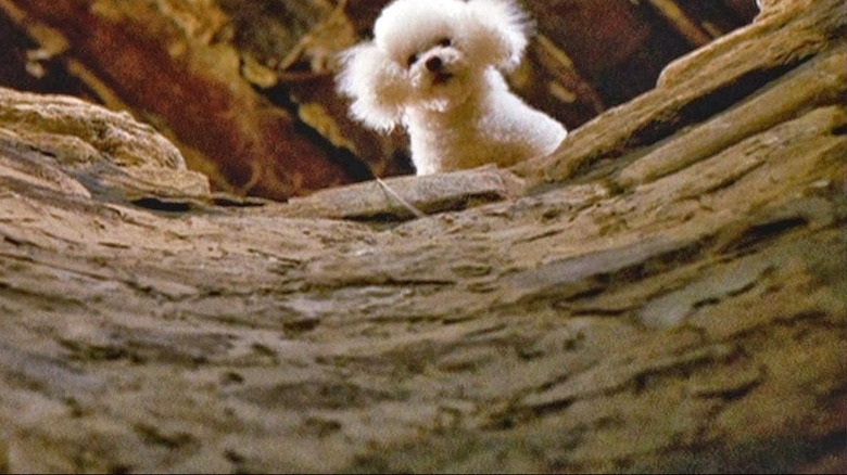 Precious The Silence of the Lambs