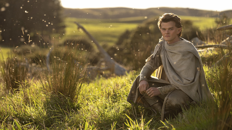 எல்ரோன்ட் தி ரிங்க்ஸ் ஆஃப் பவரில் புல்லில் அமர்ந்திருக்கிறார்