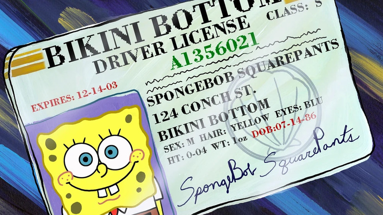 A closeup of SpongeBob's drivers license, from SpongeBob SquarePants