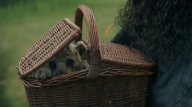 Lion cub in a bike basket in Wicked: Part One