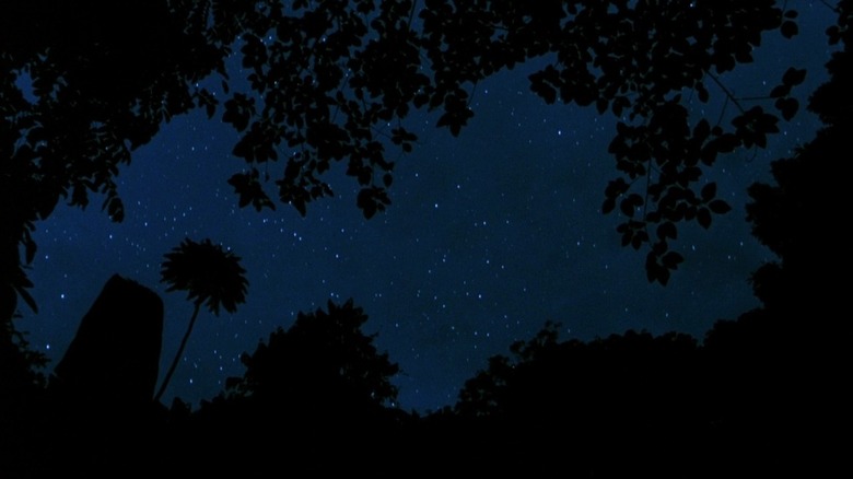 Platoon night sky forest