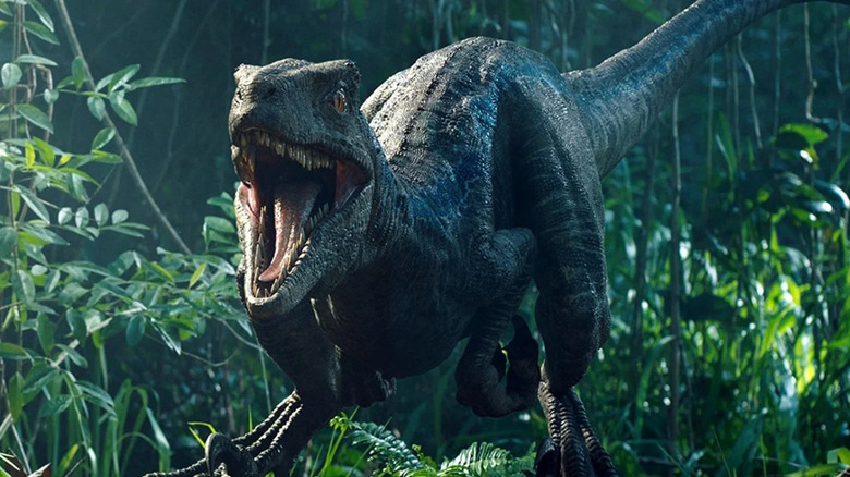Blue the Velociraptor Jurassic World