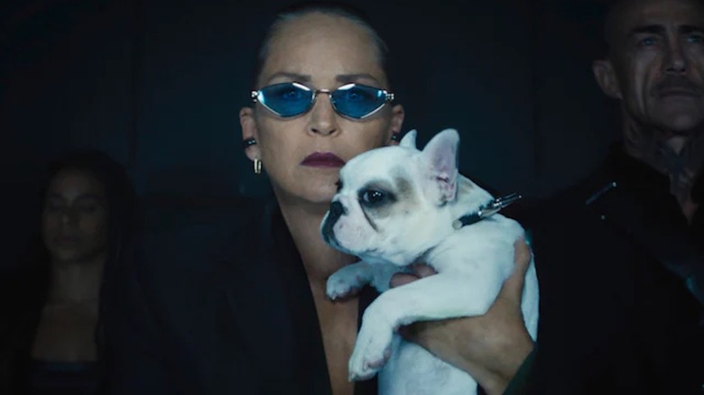 Sharon Stone is a bad woman with a cute white pup as Lendina in Nobody 2