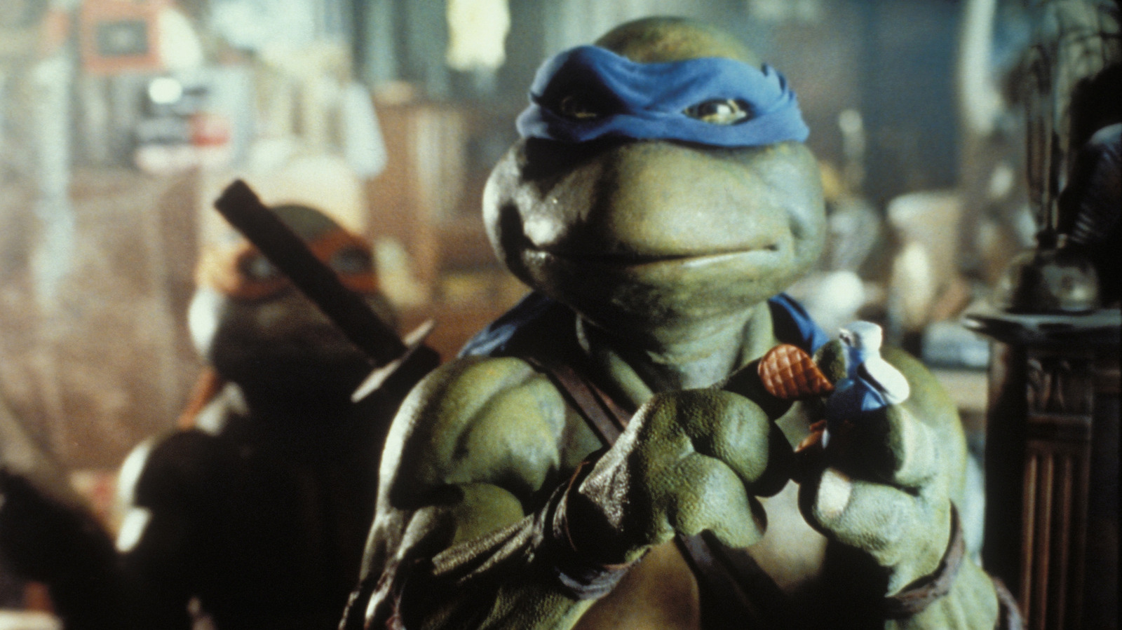 galblaas Verantwoordelijk persoon Het hotel How The 1990 Teenage Mutant Ninja Turtles Movie Created The Modern  Superhero Comedy