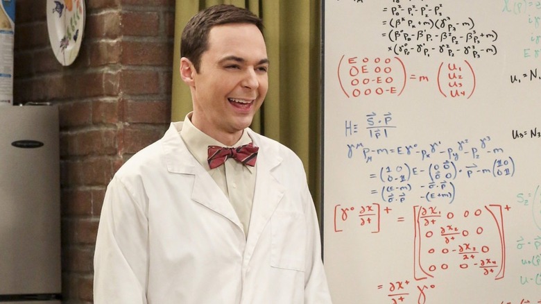 Shieldon in a laboratory coat standing next to a white plate covered with equations on the theory of the Big Bang