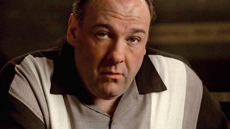 James Gandolfini stars in The Sopranos