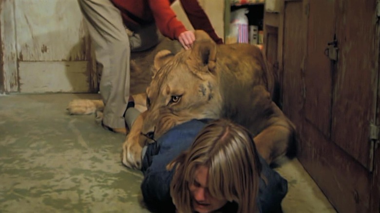 Melanie Griffith as Melanie getting tackled by a lion in Roar