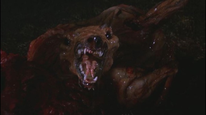Dog-Thing, The Thing