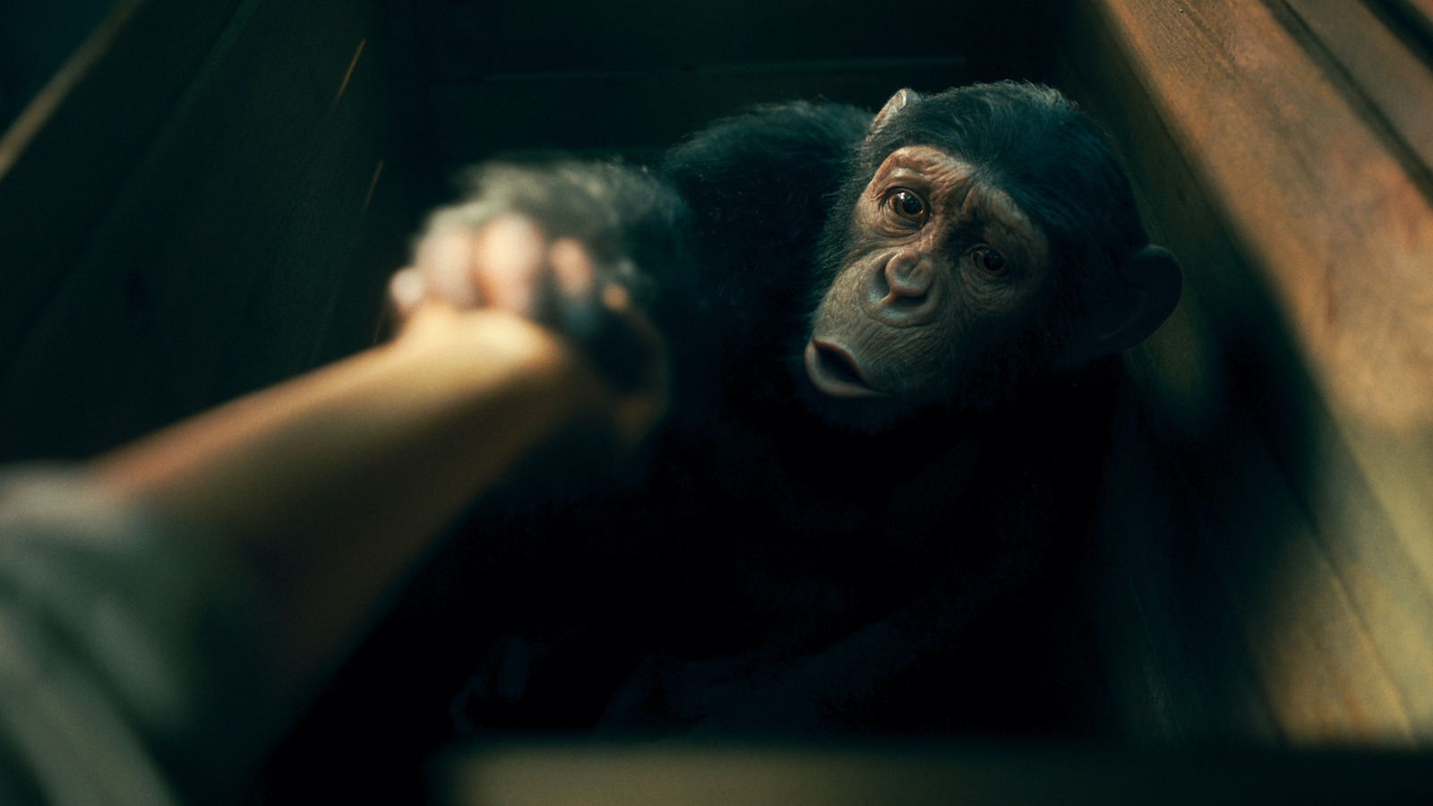 How The Umbrella Academy Crew Brought Baby Pogo To Life