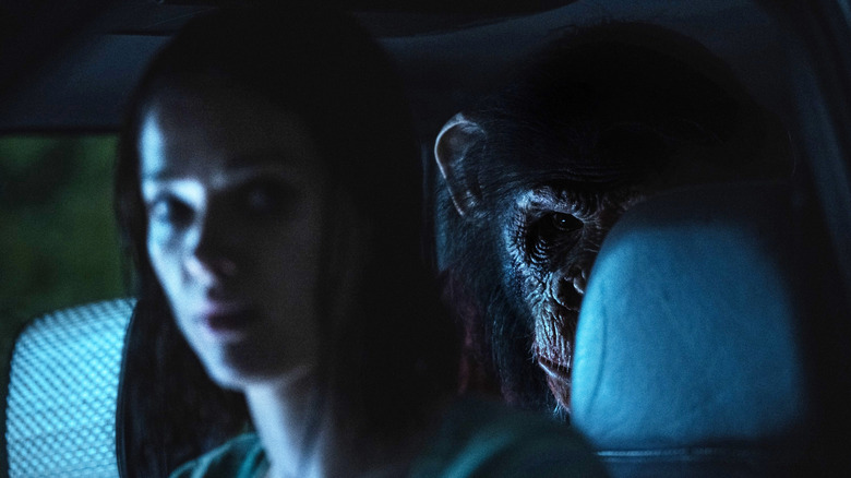 Jessica Alexander as Hannah and Miguel Torres Umba as the motion-capture performer of Ben the chimp sitting in a car in Primate