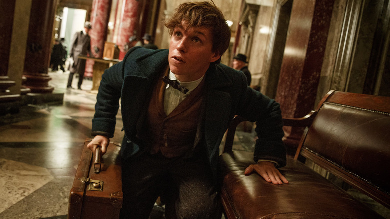Newt Scamander, kneeling on the floor of a train station with a suitcase in Fantastic Beasts and Where to Find Them