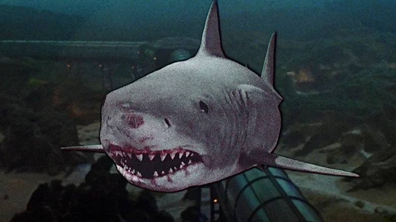 A shark realistically flies towards the camera in Jaws 3