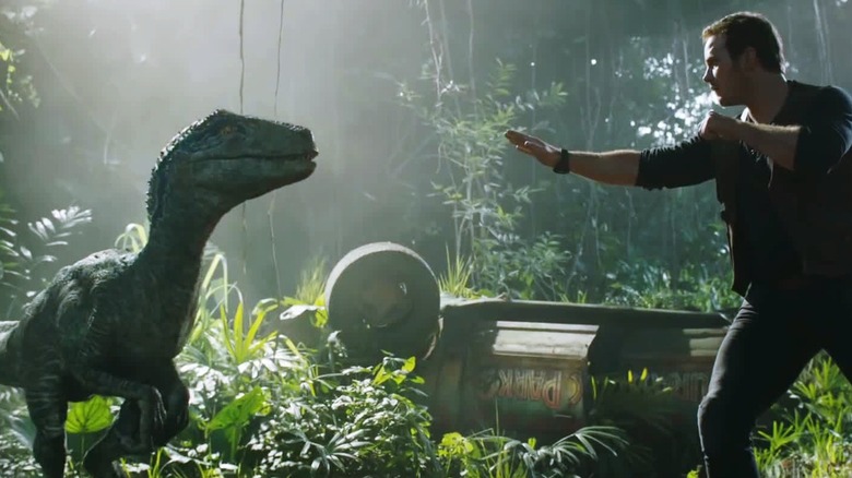 Owen trying to control the Velociraptor Blue in Jurassic Park: Fallen Kingdom