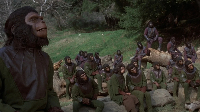 Caesar (Roddy McDowall) stands before an assembly of apes in Battle for the Planet of the Apes