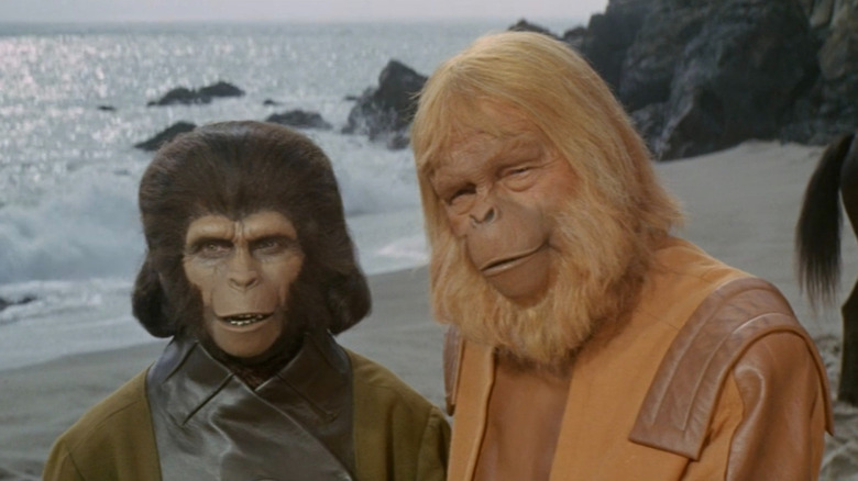 Zira (Kim Hunter) and Zaius (Maurice Evans) stand on a beach in Planet of the Apes (1968)