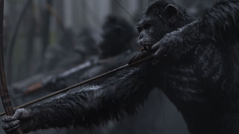 A group of apes draw arrows in their bowstrings in War for the Planet of the Apes
