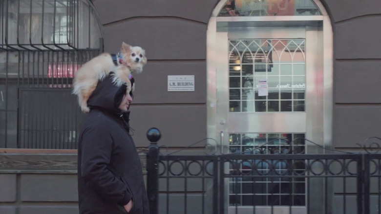 New Yorker dog on head