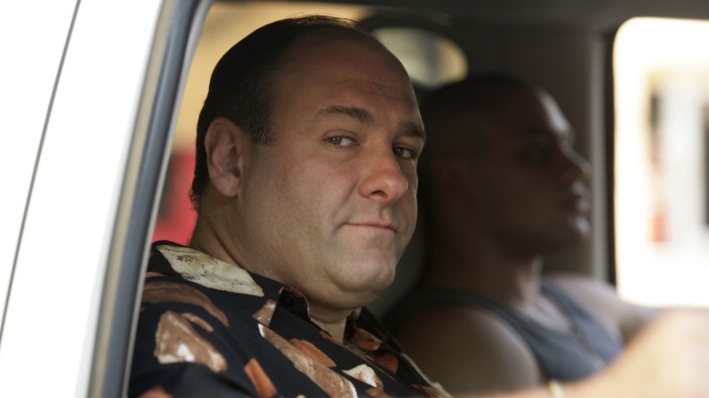 James Gandolfini in The Sopranos