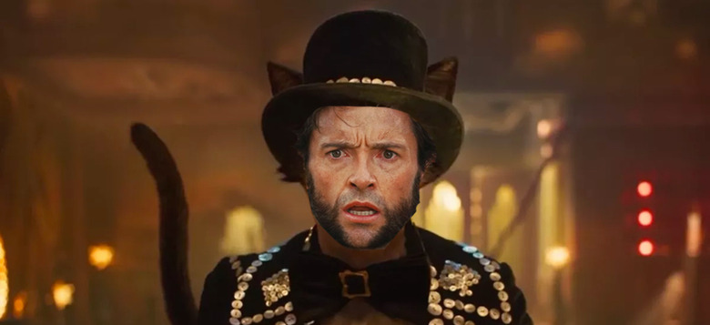 hugh jackman cats