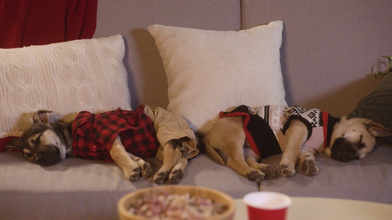 Two sleeping angels in White Elephant Puppy Party