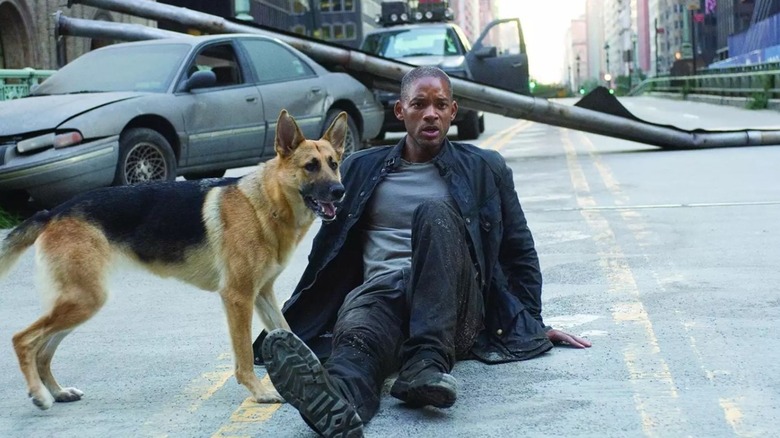 Will Smith and dog ground I Am Legend