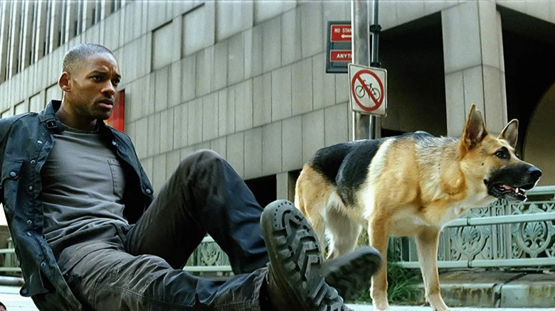 Will Smith with dog I am Legend