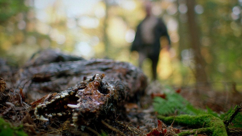 In A Violent Nature, dead animal