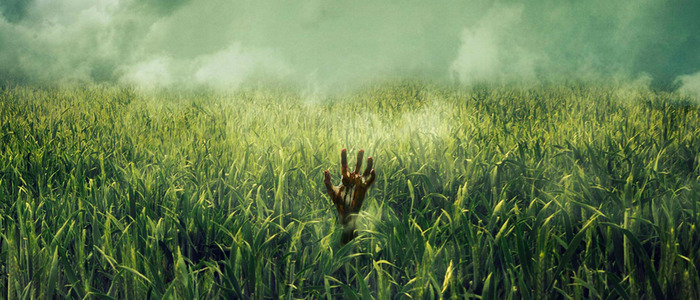 in the tall grass movie